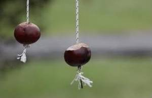 How you play Conkers : Our Rules